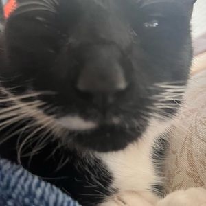 Meet your Posher, Isaac